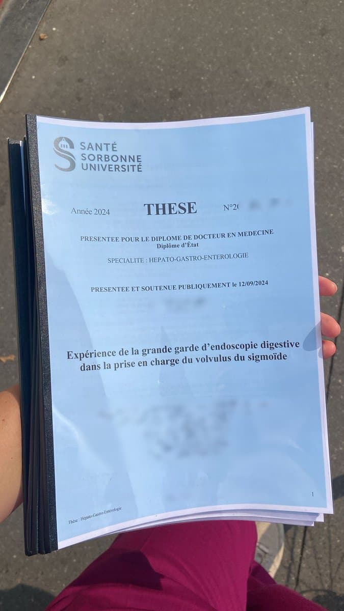 I asked ChatGPT to simplify my sister's 60,000-word thesis
