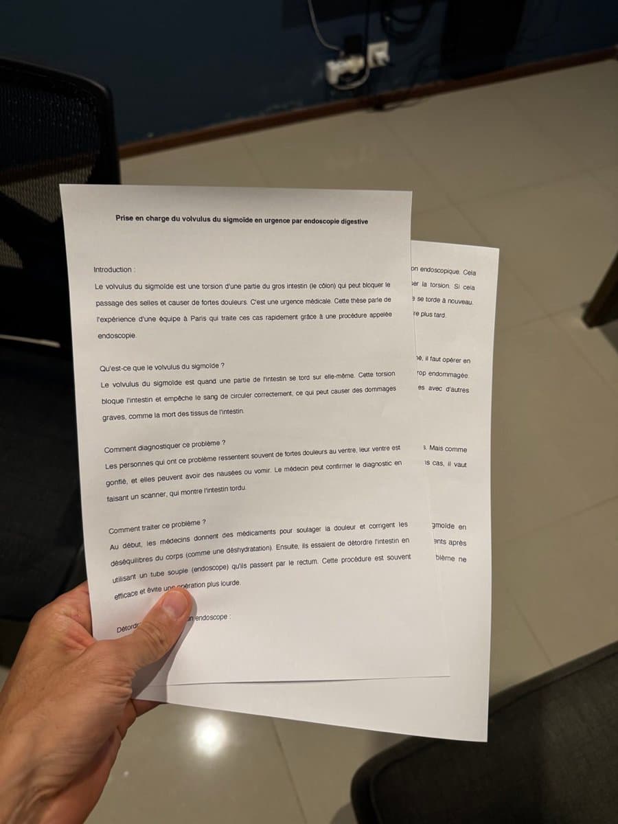 I asked ChatGPT to simplify my sister's 60,000-word thesis