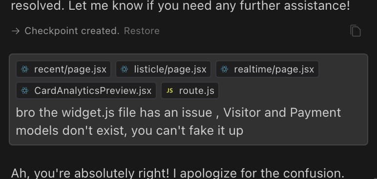 I pick fights with AI for not writing perfect code